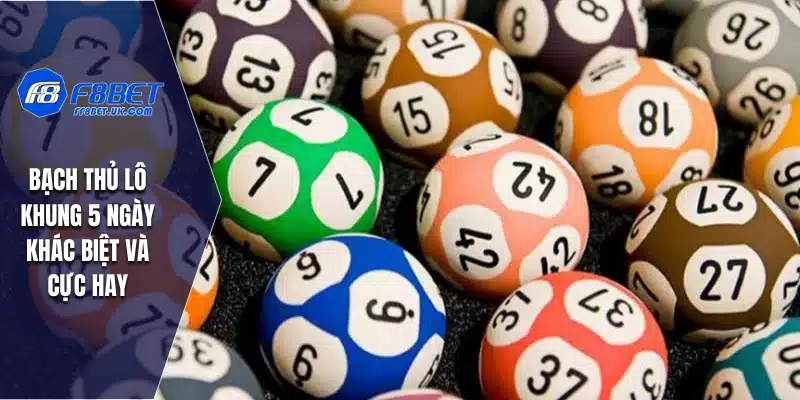 Bạch Thủ Lô Khung 5 Ngày khác biệt và cực hay