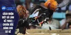 Cách Nhận Biết Gà Linh Kê