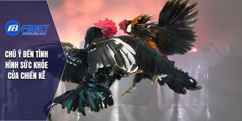 Chú ý đến tình hình sức khỏe của chiến kê